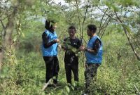 Salah seorang Anggota Gabungan Kelompok Tani Jaga Lembur Tani Makmur Desa Bojongkapol, Kecamatan Bojonggambir, Tasikmalaya, Rismayadi (40) (tengah) saat berdiskusi dengan petugas PLN di lahan yang ditanami tanaman indigofera. Dirinya menjelaskan bahwa dengan memanfaatkan tanaman indigofera, lahan yang sebelumnya tandus dan sulit ditanami kini menjadi subur karena tanaman tersebut mampu menyimpan air dengan baik.