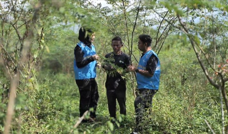 Salah seorang Anggota Gabungan Kelompok Tani Jaga Lembur Tani Makmur Desa Bojongkapol, Kecamatan Bojonggambir, Tasikmalaya, Rismayadi (40) (tengah) saat berdiskusi dengan petugas PLN di lahan yang ditanami tanaman indigofera. Dirinya menjelaskan bahwa dengan memanfaatkan tanaman indigofera, lahan yang sebelumnya tandus dan sulit ditanami kini menjadi subur karena tanaman tersebut mampu menyimpan air dengan baik.