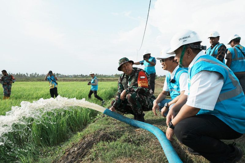 Direktur Distribusi PLN, Adi Priyanto (tengah) bersama General Manager PLN Unit Induk Wilayah Papua dan Papua Barat, Rizky Mochamad (kanan), dan Komandan Satuan Tugas Pertahanan Pangan Kementerian Pertanian RI, Mayjen TNI Ahmad Rizal Ramdhani (kiri), melakukan pengecekan debit air dari pompa air yang dialiri listrik PLN melalui program Electrifying Agriculture di Kampung Telaga Sari, Merauke (9/10).