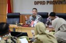 Ketua Komisi B DPRD DKI Jakarta Nova Harivan Paloh / foto ist