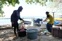 Warga Pulau Polewali, Kabupaten Pangkep, Provinsi Sulawesi Selatan, Jipa (kiri) yang juga merupakan seorang nelayan sedang melakukan aktivitas penjualan ikan. Kini produktivitasnya dapat meningkat berkat hadirnya listrik bersih dari program SuperSUN PLN.