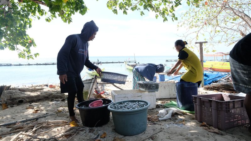 Warga Pulau Polewali, Kabupaten Pangkep, Provinsi Sulawesi Selatan, Jipa (kiri) yang juga merupakan seorang nelayan sedang melakukan aktivitas penjualan ikan. Kini produktivitasnya dapat meningkat berkat hadirnya listrik bersih dari program SuperSUN PLN.