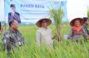 Menteri Desa dan Pembangunan Daerah Tertinggal Yandri Susanto melakukan kunjungan kerja ke Desa Jatirejo, Kecamatan Lendah, Kabupaten Kulon Progo, Daerah Istimewa Yogyakarta, Sabtu (21/12/2024) sore.

Hadir mendampingi Mendes Yandri saat dalam agenda itu, Penasihat DWP Kemendes PDT Ratu Rachmatu Zakiyah, Kepala BPSDM Luthfiyah Nurlaela, Plt. Dirjen PEID, Bito Wikantosa, dan Staf Khusus Menteri Khoirul Huda. Dan beberapa jajaran pejabat tinggi pratama di lingkungan Kemendes PDT.

Dok.Sigit Purwanto/ Humas Kemendes PDT