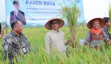 Menteri Desa dan Pembangunan Daerah Tertinggal Yandri Susanto melakukan kunjungan kerja ke Desa Jatirejo, Kecamatan Lendah, Kabupaten Kulon Progo, Daerah Istimewa Yogyakarta, Sabtu (21/12/2024) sore.

Hadir mendampingi Mendes Yandri saat dalam agenda itu, Penasihat DWP Kemendes PDT Ratu Rachmatu Zakiyah, Kepala BPSDM Luthfiyah Nurlaela, Plt. Dirjen PEID, Bito Wikantosa, dan Staf Khusus Menteri Khoirul Huda. Dan beberapa jajaran pejabat tinggi pratama di lingkungan Kemendes PDT.

Dok.Sigit Purwanto/ Humas Kemendes PDT