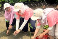 Srikandi PLN ketika melakukan penanaman bibit mangrove di kawasan Ekowisata Cuku Nyinyi, Kabupaten Pesawaran, Lampung. Aksi kesadaran akan lingkungan yang rutin dilakukan secara nasional ini menjadi salah satu wujud penerapan prinsip ESG.