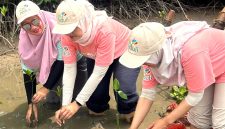 Srikandi PLN ketika melakukan penanaman bibit mangrove di kawasan Ekowisata Cuku Nyinyi, Kabupaten Pesawaran, Lampung. Aksi kesadaran akan lingkungan yang rutin dilakukan secara nasional ini menjadi salah satu wujud penerapan prinsip ESG.