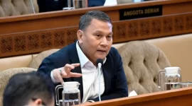 Ketua BKSAP DPR RI, Mardani Ali Sera / foto ist
