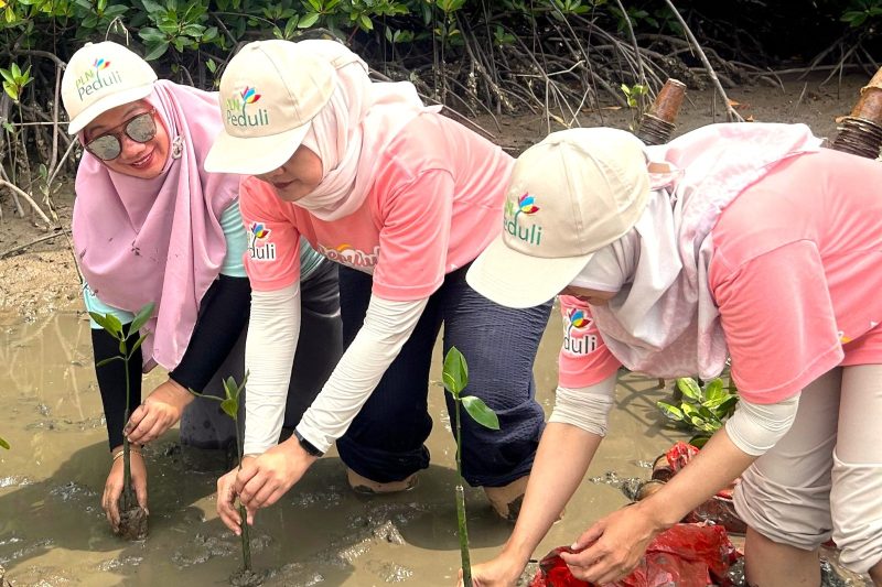 Srikandi PLN ketika melakukan penanaman bibit mangrove di kawasan Ekowisata Cuku Nyinyi, Kabupaten Pesawaran, Lampung. Aksi kesadaran akan lingkungan yang rutin dilakukan secara nasional ini menjadi salah satu wujud penerapan prinsip ESG.