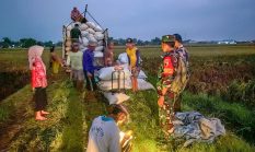 berita-pilihan-foto