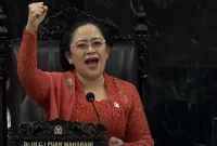 Ketua DPR RI Puan Maharani / foto ist