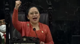 Ketua DPR RI Puan Maharani / foto ist