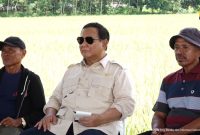 ilustrasi / foto istimewa