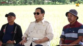 ilustrasi / foto istimewa
