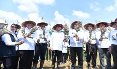 berita-pilihan-foto