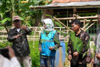 PLN EPI bersama Institut Pertanian Bogor (IPB) terus memperkuat ekosistem biomassa di Kabupaten Cilacap, Jawa Tengah, guna mendukung program cofiring di Pembangkit Listrik Tenaga Uap (PLTU) Adipala.