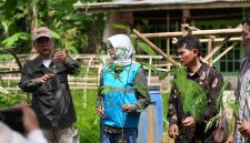 PLN EPI bersama Institut Pertanian Bogor (IPB) terus memperkuat ekosistem biomassa di Kabupaten Cilacap, Jawa Tengah, guna mendukung program cofiring di Pembangkit Listrik Tenaga Uap (PLTU) Adipala.