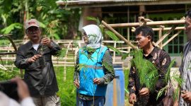 PLN EPI bersama Institut Pertanian Bogor (IPB) terus memperkuat ekosistem biomassa di Kabupaten Cilacap, Jawa Tengah, guna mendukung program cofiring di Pembangkit Listrik Tenaga Uap (PLTU) Adipala.