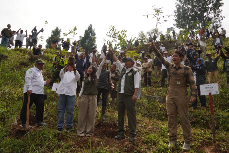 Menteri Kehutanan Raja Juli Antoni (dua dari kanan),  Sekretaris Daerah Provinsi Jawa Barat Herman Suryatman (dua dari kiri), serta  influencer lingkungan Jerhemy Owen bersama PLN Nusantara Power saat penanaman puluhan ribu pohon di kawasan Hulu Ciliwung, tepatnya di Cibulao, Jawa Barat, mencakup lebih dari 600 hektar lahan terdegradasi.