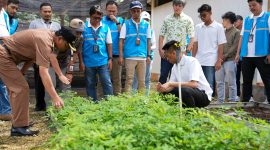 Gusti Marrel bersama tim PLN EPI memeriksa Bibit Tanaman Multifungsi di Rumah Bibit Kalurahan Gombang yang nantinya mendukung pengembangan usaha berkelanjutan dan meningkatkan ekonomi warga di sekitar Gunungkidul.