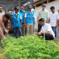 Gusti Marrel bersama tim PLN EPI memeriksa Bibit Tanaman Multifungsi di Rumah Bibit Kalurahan Gombang yang nantinya mendukung pengembangan usaha berkelanjutan dan meningkatkan ekonomi warga di sekitar Gunungkidul.