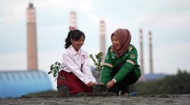 Menanam pohon menjadi bagian dari program strategis PLN Nusantara Power dalam memberikan nilai lebih bagi masyarakat dan lingkungan. Perusahaan mendukung upaya MLH Muhammadiyah dalam program Sedekah Oksigen di Bojonegoro dengan memberikan 3.000 bibit beserta pupuk kandang dan ajir yang diserahkan pada Ahad (8/6) lalu. (Foto ilustrasi)