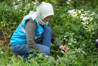 PT PLN Energi Primer Indonesia (PLN EPI) menegaskan komitmennya dalam memperkuat tata kelola berkelanjutan melalui pendekatan ESG (Environmental, Social, and Governance) serta menciptakan budaya kerja yang inklusif dan kolaboratif.