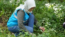 PT PLN Energi Primer Indonesia (PLN EPI) menegaskan komitmennya dalam memperkuat tata kelola berkelanjutan melalui pendekatan ESG (Environmental, Social, and Governance) serta menciptakan budaya kerja yang inklusif dan kolaboratif.