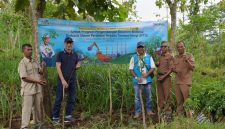 PLN EPI mengirimkan bibit hingga ke titik penanaman dengan jenis tanaman yang dipilih memiliki daya tumbuh tinggi di lahan marginal dan nilai kalor cukup untuk substitusi batu bara dalam cofiring PLTU.