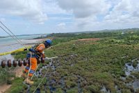 Petugas PLN tengah melakukan pemeliharaan jaringan transmisi Saluran Udara Tegangan Tinggi (SUTT) 150 kiloVolt (kV) sebagai bagian dari upaya memastikan keandalan pasokan listrik secara nasional. Komitmen ini menjadi fondasi dalam mendorong peningkatan kinerja PLN, yang pada Tahun Buku 2024 ini mencetak pendapatan sebesar Rp545,38 triliun.