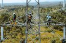 Petugas PLN sedang melakukan pengecekan akhir terhadap pekerjaan SUTT 15O kV Kolonedale - Bungku sebelum diberikan tegangan perdana (energize).