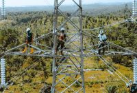 Petugas PLN sedang melakukan pengecekan akhir terhadap pekerjaan SUTT 15O kV Kolonedale - Bungku sebelum diberikan tegangan perdana (energize).