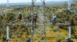 Petugas PLN sedang melakukan pengecekan akhir terhadap pekerjaan SUTT 15O kV Kolonedale - Bungku sebelum diberikan tegangan perdana (energize).