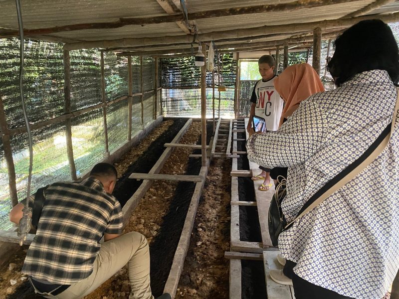 Pengunjung sedang meninjau bedeng tempat budi daya cacing dalam Program Budidaya Cacing Tanah Muda Jaya Organik PLN Nusantara Power UP Tenayan. Pemanfaatan limbah organik seperti ampas tahu, limbah parutan kelapa dan limbah kelapa sawit membuat program ini berhasil menerapkan prinsip ekonomi sirkular dalam pemberdayaan masyarakat.