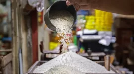 ilustrasi / foto ist