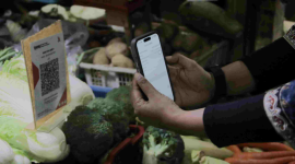 ilustrasi / foto ist