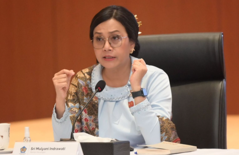 Menkeu Sri Mulyani ( foto Istimewa )