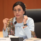Menkeu Sri Mulyani ( foto Istimewa )