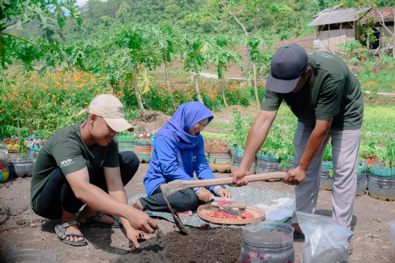 Masyarakat binaan  memanfaatkan kulit buah naga  sebagai bahan pupuk organik dalam  program CSR PIJAR GEMILANG yang diinisiasi oleh PLN Nusantara Power UP Rembang.