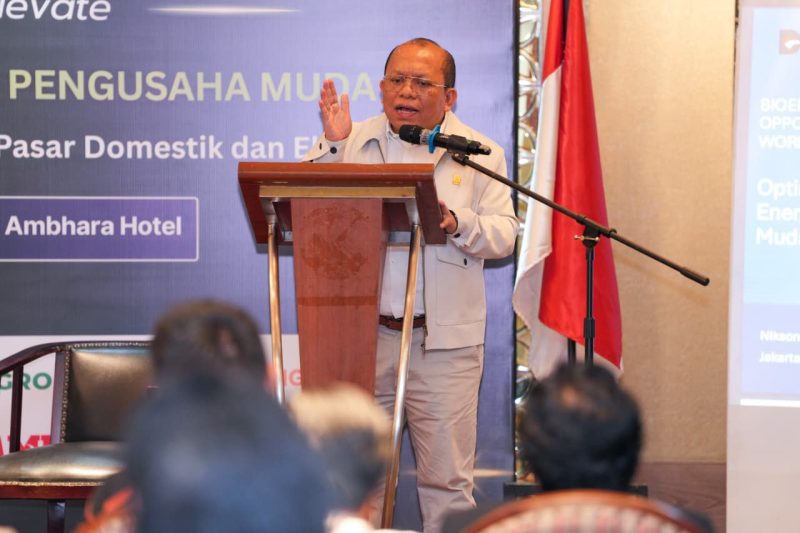 Komisaris Utama PT PLN Energi Primer Indonesia (EPI) Nikson Silalahi mengajak pengusaha muda yang tergabung dalam Himpunan Pengusaha Muda Indonesia (HIPMI) untuk mengambil peluang dalam suplai biomassa untuk cofiring Pembangkit Listrik.