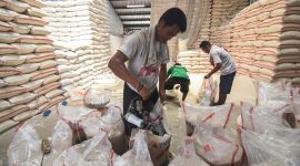 ilustrasi ( foto Istimewa )