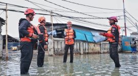 ilustrasi / foto ist