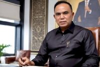 Ir. R. Haidar Alwi ( foto Ist )