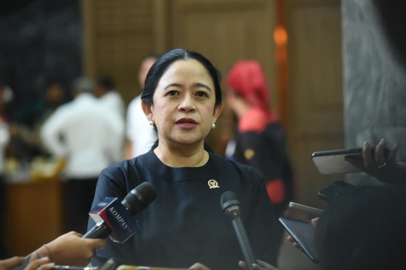 Ketua DPR RI Dr. (H.C.) Puan Maharani. Foto Istimewa
