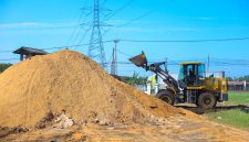 Pemerintah menempatkan biomassa sebagai elemen strategis dalam roadmap transisi energi menuju NZE 2060 atau lebih cepat. (Foto: Serbuk Kayu sebagai bahan cofiring biomassa di PLTU Indramayu)