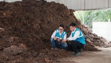Petugas PLN EPI memeriksa kelayakan bahan biomassa raw material tandan kosong (tankos) kelapa sawit di Kabupaten Sekadu Kalimantan Barat sebelum diubah menjadi pelet untuk pelaksanaan cofiring yang bertujuan untuk mengakselerasi transisi energi untuk mewujudkan Net Zero Emission di tahun 2060.