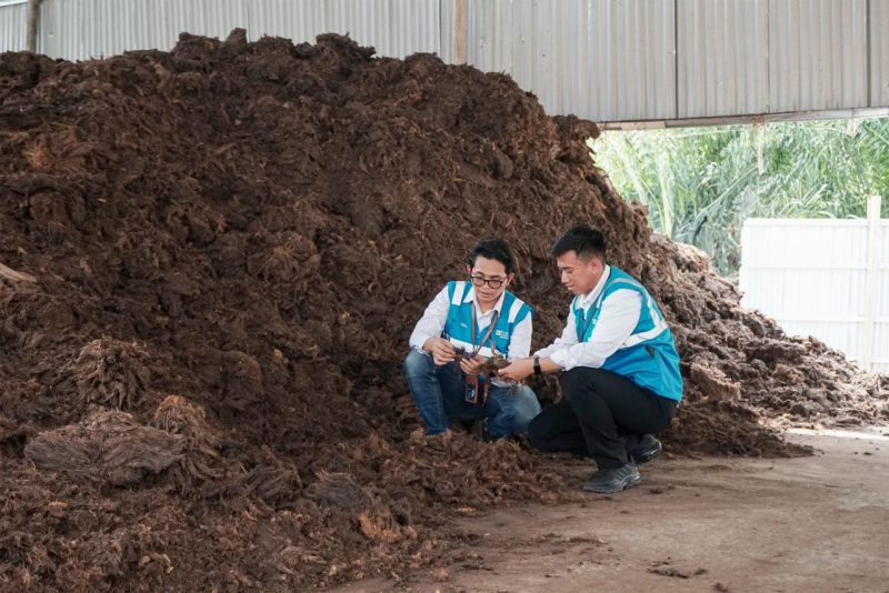 Petugas PLN EPI memeriksa kelayakan bahan biomassa raw material tandan kosong (tankos) kelapa sawit di Kabupaten Sekadu Kalimantan Barat sebelum diubah menjadi pelet untuk pelaksanaan cofiring yang bertujuan untuk mengakselerasi transisi energi untuk mewujudkan Net Zero Emission di tahun 2060.