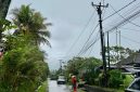 Petugas PLN sedang melakukan perbaikan konduktor jaringan listrik yang putus akibat petir saat cuaca ekstrem di Desa Kaba-kaba, Kabupaten Tabanan.