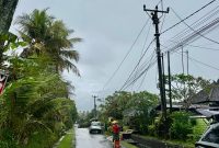 Petugas PLN sedang melakukan perbaikan konduktor jaringan listrik yang putus akibat petir saat cuaca ekstrem di Desa Kaba-kaba, Kabupaten Tabanan.