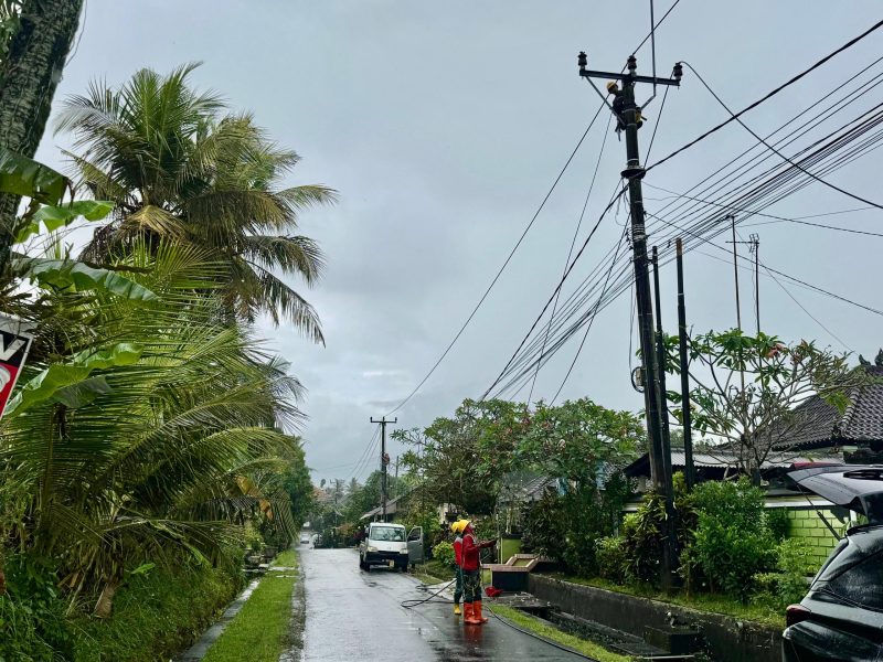 Petugas PLN sedang melakukan perbaikan konduktor jaringan listrik yang putus akibat petir saat cuaca ekstrem di Desa Kaba-kaba, Kabupaten Tabanan.
