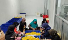 berita-pilihan-foto